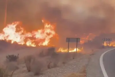 British Pensioner Survives Spanish Wildfire, Fears Wife and Friends Died