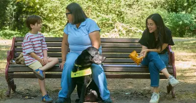 Brits' top misconceptions about guide dogs revealed in new poll