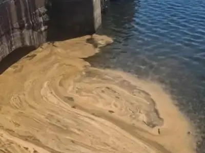 Brown foam in Barry waterfront is algae, not sewage, says NRW