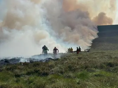 Cairngorms Wildfire Likely to Continue for Days Despite 'Significant Progress'