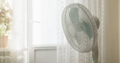 Cool Your Bedroom Without a Fan: Simple Evening Trick for Better Sleep