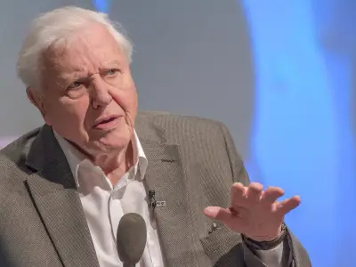 David Attenborough Urges Gardeners Not to Remove Nettles for Butterflies