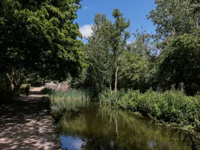 Discover Daisy Nook: Greater Manchester's Overlooked Woodland Park with Lake and Picnic Spots