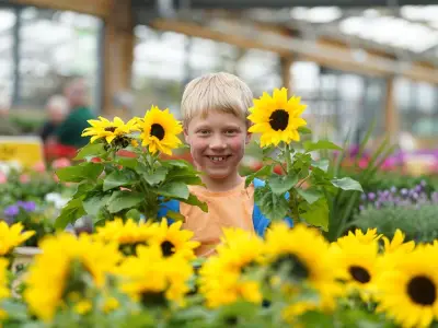 Dobbies Sandyholm Hosts Free Little Seedlings Club Workshop in August