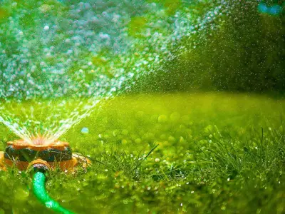 Epsom Salt Keeps Lawns Green All Summer Long