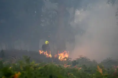 Firefighters make good progress on Suffolk wildfire near Sizewell