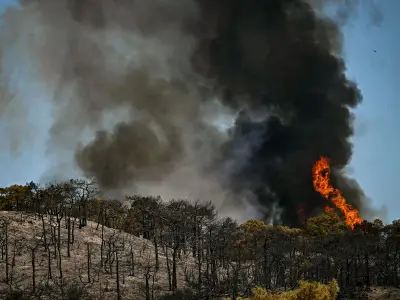 Foreign Office Warns Brits of 'High Risk' Wildfires in France