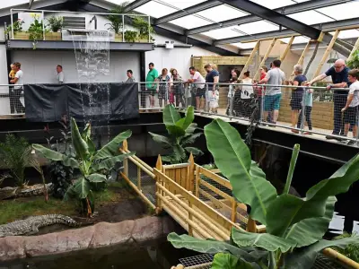 Fundraising surpasses £100k for boy hurt in crocodile enclosure