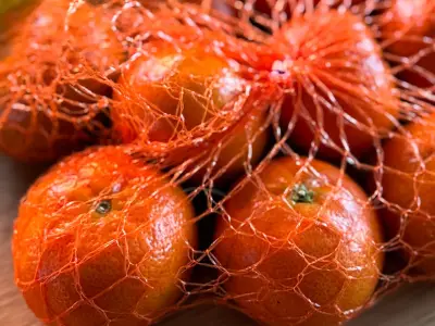 Gardener Shares Genius Way to Reuse Fruit Net Packaging in July Garden