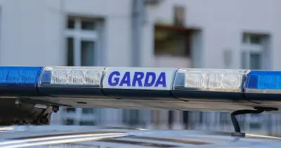 Girl, 9, dies days after mother killed in County Cavan crash