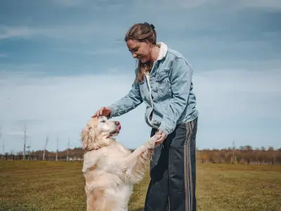 Golden Retriever 'Moos' Instead of Barking, Loves Cows