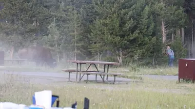 Grandad, 80, 'flipped like a ragdoll' in horror bison attack at Yellowstone