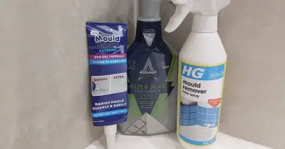 HG Mould Spray beats Astonish and Mould Magic in grout mould test
