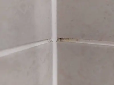 HG Mould Spray wins grout mould test: works in 30 minutes