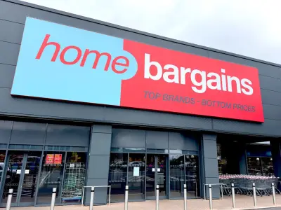 Home Bargains £5 Travel Pillow for Comfortable Flights