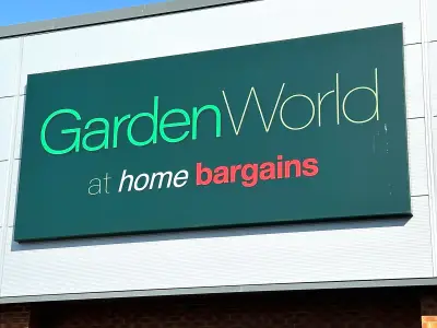 Home Bargains 99p colour-changing garden light adds 'magical touch'