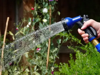Hosepipe bans affecting millions could be extended further this summer