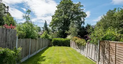 Keep Lawn Healthy in Hot Weather: Remove 3 Items to Avoid Yellow Patches