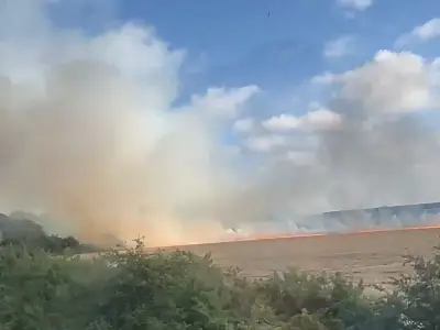 Large Grass Fire in Litherland Extinguished by Firefighters