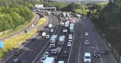 M4 Traffic Chaos: Major Motorway Partially Blocked After Crash Near Newport