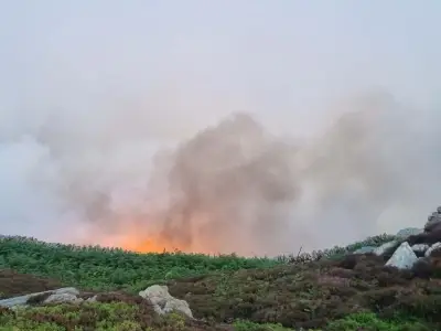 Major Incident Declared as Wildfires Ravage UK Amid Heatwave