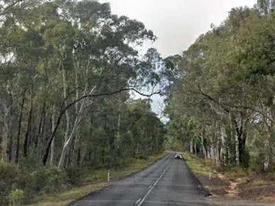 Man, 55, Killed by Own Dog in Rural Australia Home Attack
