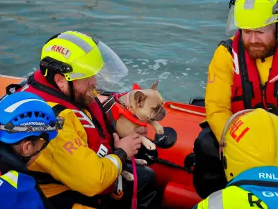 Man and Dog Rescued from Loch Ryan After Medical Emergency on Boat