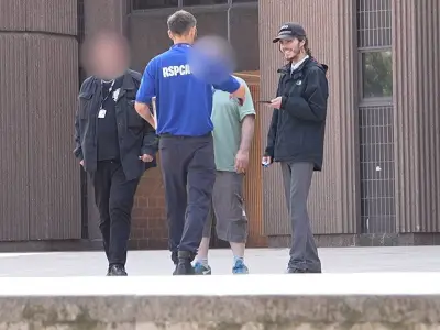 Man Avoids Jail After Punching and Kicking Dog to Death
