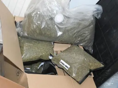 Man found with £250k cannabis after hospital visit for stab wounds