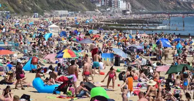 Met Office Issues Heatwave Verdict for August as 30C Scorcher Looms