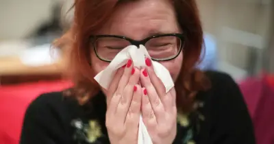 Met Office Warns of 'Very High' Pollen Levels in 16 UK Counties on Friday
