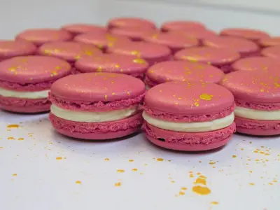 Newcastle mum and daughter's bakery Le Mini Macaron up for sale