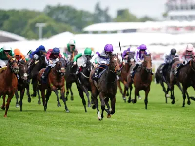 Newsboy's Friday racing tips: Paradise Walk Nap at Ascot, Imperial Cult NB at Sandown