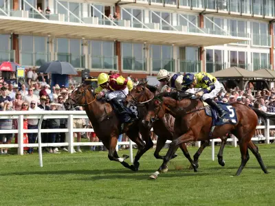 Newsboy's Horse Racing Selections: Hilltop Nap at Lingfield