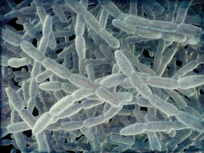 NYC Takes Emergency Measures After 46 Fall Ill in Legionnaires' Outbreak