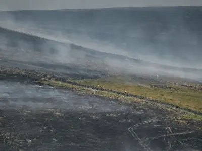 Over 200 Wildfires Recorded in England and Wales in 12 Days, NFCC Warns