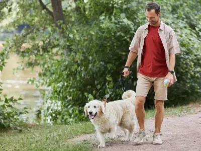 Pet Owners Urged to Carry Bank Card for Bee Sting Removal on Walks