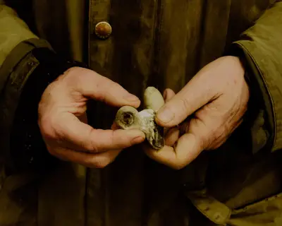 Precision in Fossil Dating: A Crucial Element in Understanding Evolution