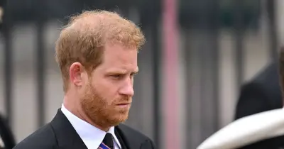 Prince Harry May Have Taken Archie and Lilibet to Diana's Grave, Expert Says