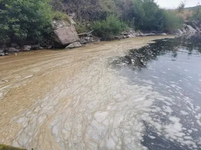 River Usk Turned Brown by Algae, Not Sewage, Says NRW