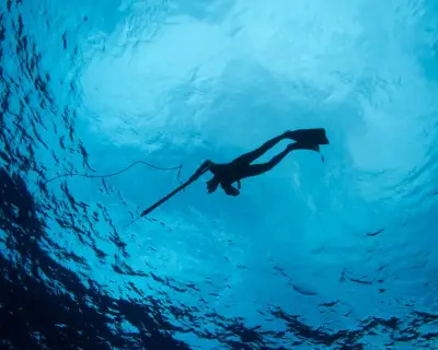 Spearfisher Clarke Gayford on the Rise in Shark Encounters and Adapting to a New Normal