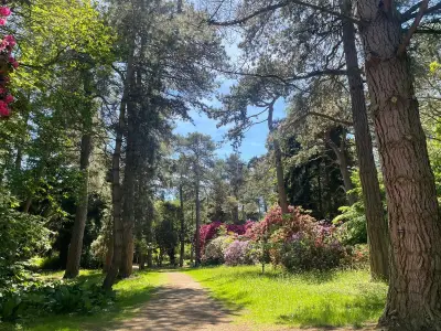 Tatton Park: 50-acre Cheshire garden with maze, Pooh trail for summer