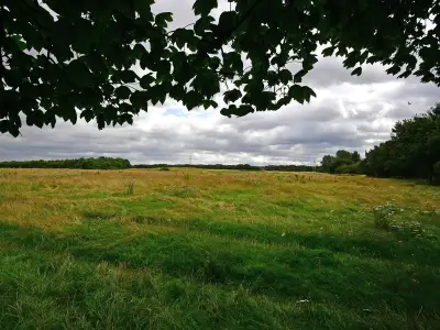 Three arrested after man found injured in Litherland park