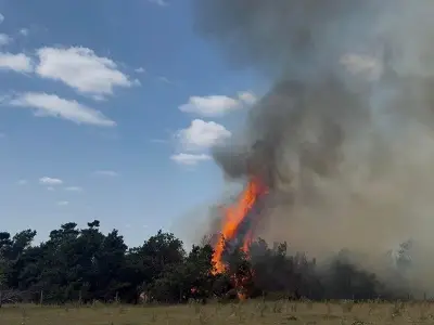 Two Arrested After Campfire Sparks Woodland Blaze Near Glossop