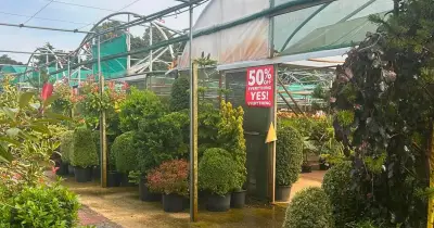 UK Garden Centre Closes After 114 Years with 50% Off Sale