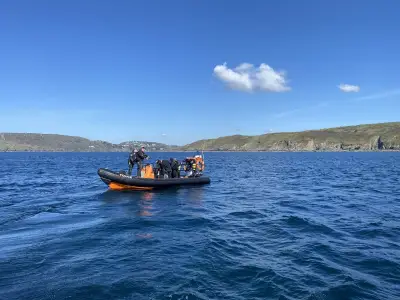 UK Shipwreck with 400 Gold Coins Identified After 400 Years