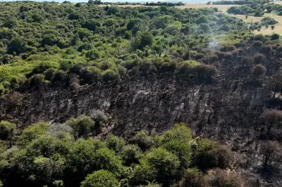 UK Wildfire Risk: Exceptional Danger as Heatwave Continues