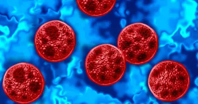 UKHSA alert: cyclospora symptoms to know before travelling to Mexico