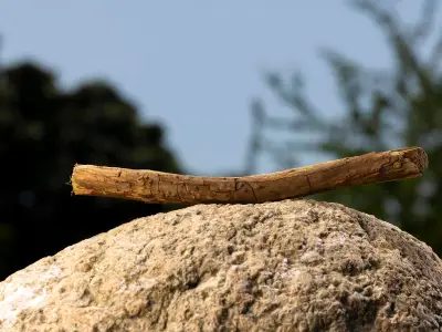 Vodafone Launches 'The Stick' Campaign to Get Kids Outdoors This Summer