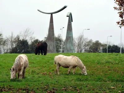 Welsh Government Rules Out Ban on Horse Tethering Despite Petition